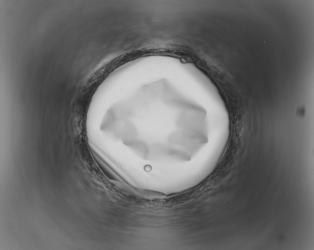 X0000116761206201001071148