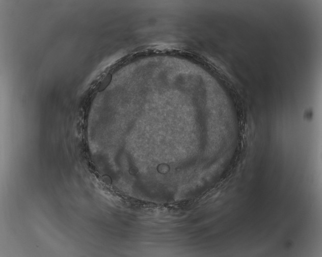 X0000116761207201001071148