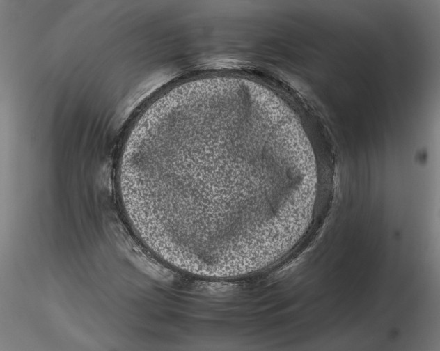 X0000116761209201001071148