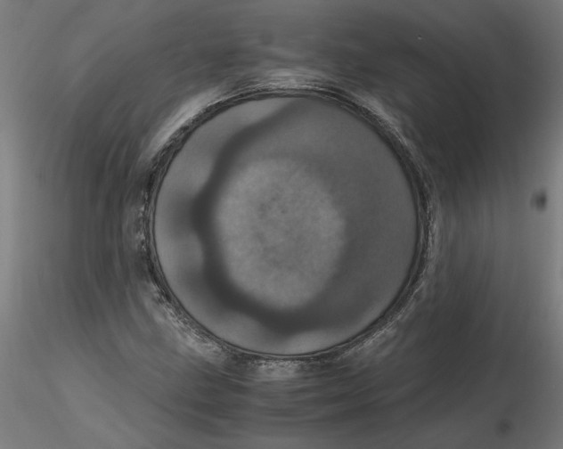 X0000116761211201001071148