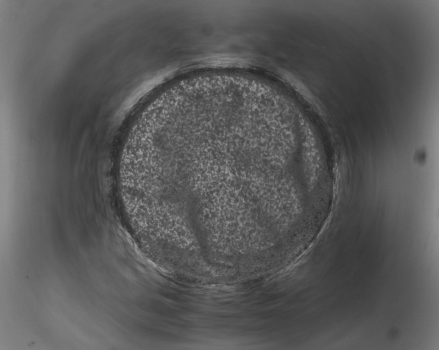 X0000116761213201001071148