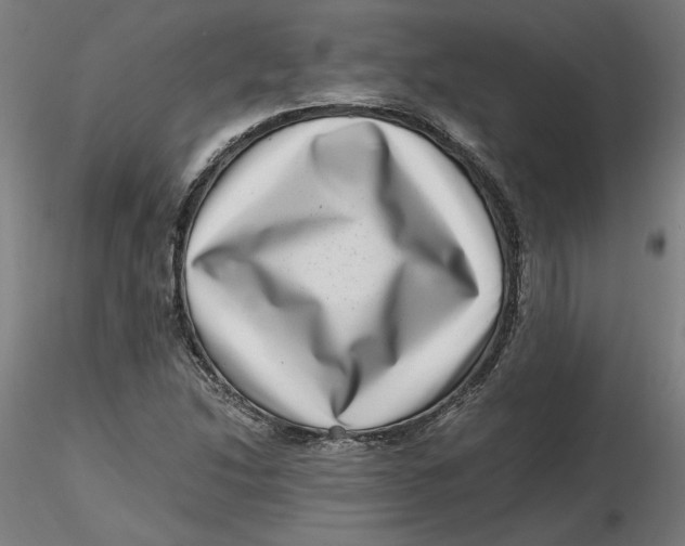 X0000116761214201001071148