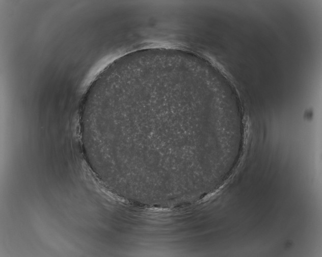 X0000116761215201001071148