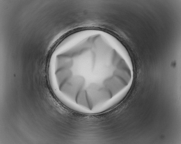 X0000116761216201001071148