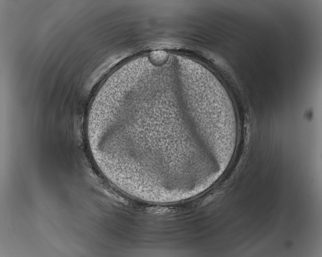 X0000116761217201001071148