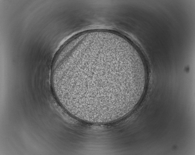 X0000116761220201001071148