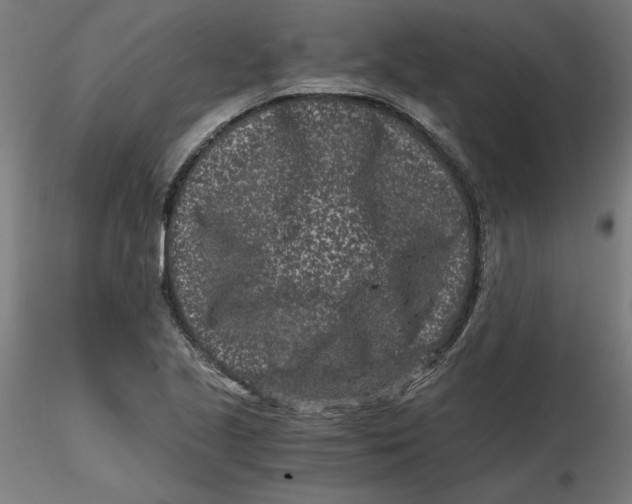 X0000116761221201001071148