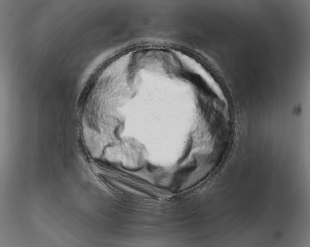 X0000116761223201001071148