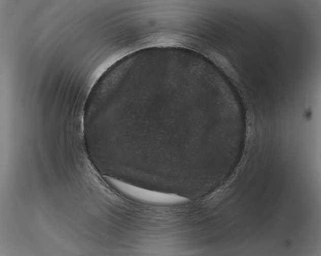 X0000116761226201001071148