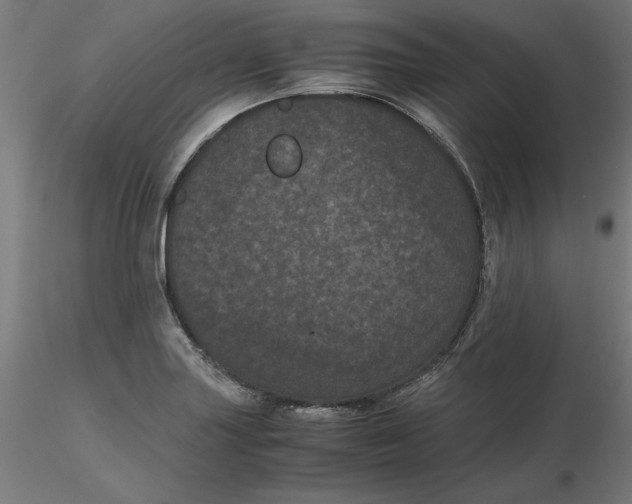 X0000116761227201001071148