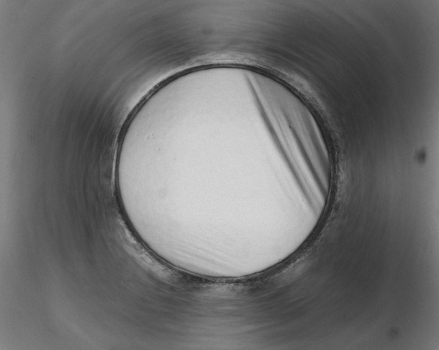 X0000116761228201001071148