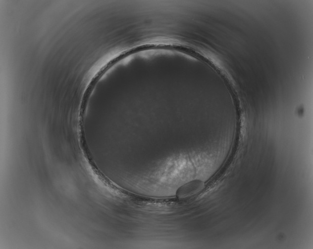 X0000116761229201001071148