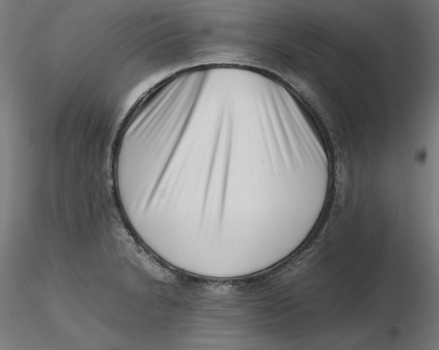 X0000116761230201001071148