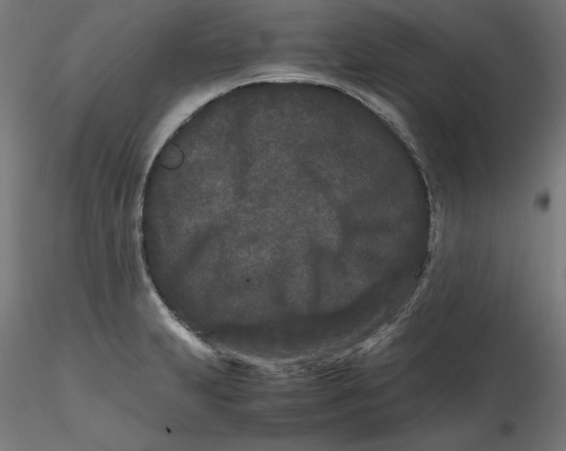 X0000116761231201001071148