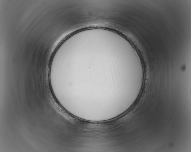 X0000116761232201001071148