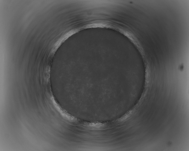 X0000116761233201001071148