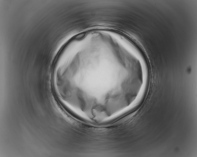 X0000116761235201001071148