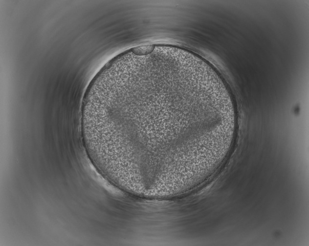 X0000116761236201001071148