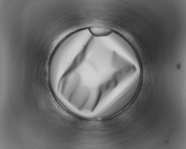 X0000116761238201001071148