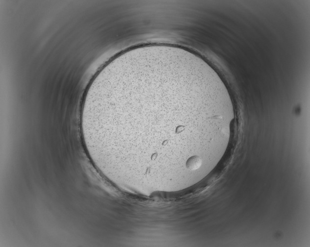 X0000116761240201001071148