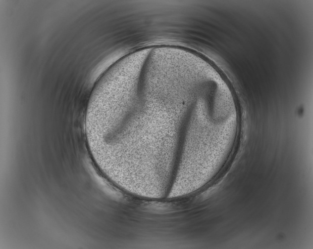 X0000116761241201001071148