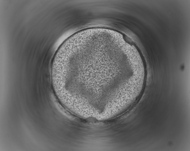 X0000116761242201001071148