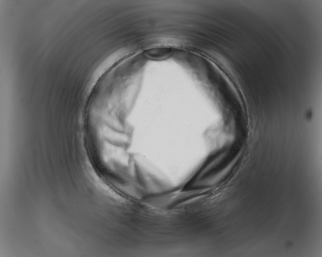 X0000116761243201001071148