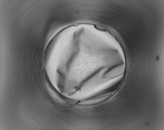 X0000116761244201001071148