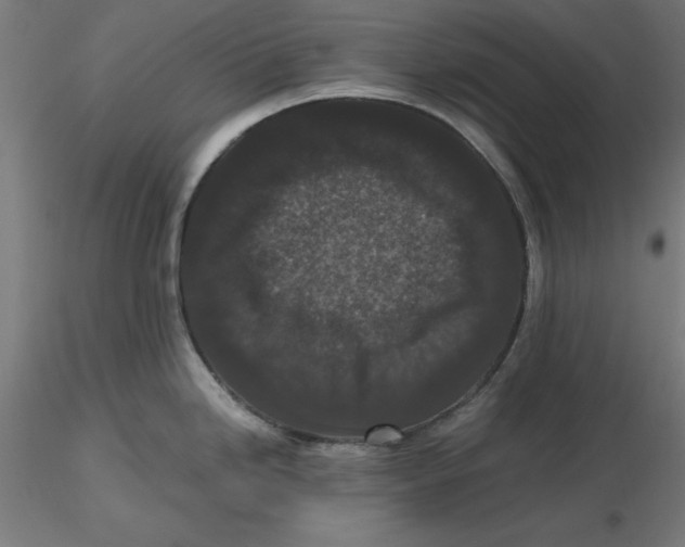 X0000116761246201001071148