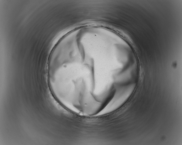 X0000116761247201001071148