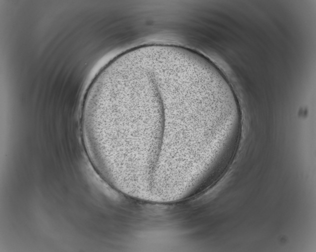 X0000116761248201001071148