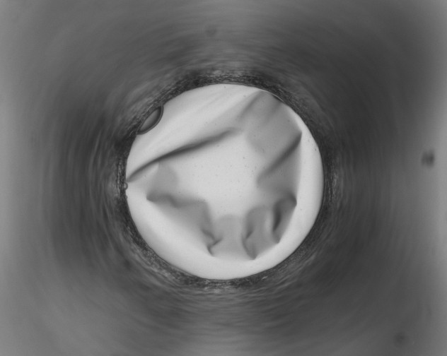 X0000116761250201001071148