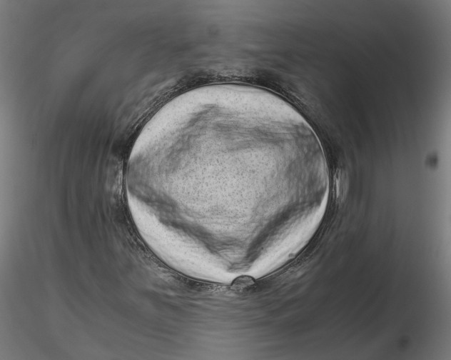 X0000116761251201001071148