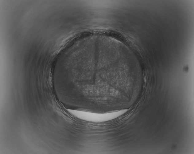 X0000116761252201001071148