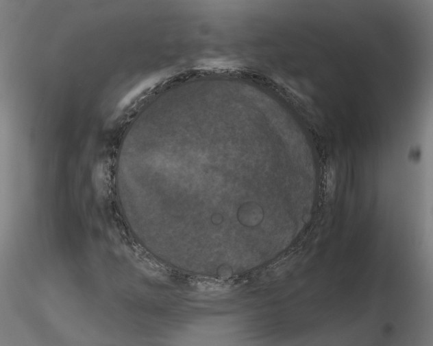 X0000116761254201001071148