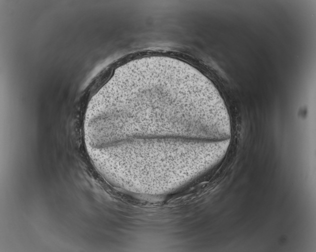 X0000116761256201001071148