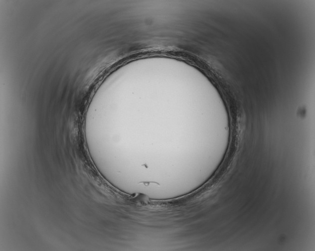 X0000116761257201001071148