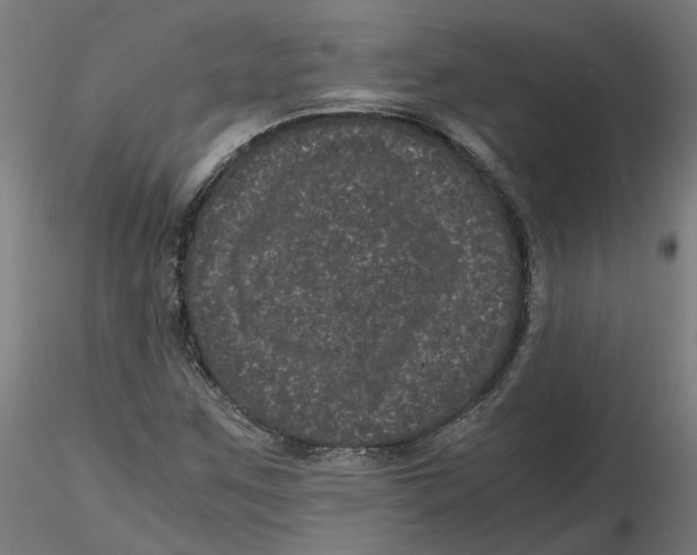 X0000116761259201001071148