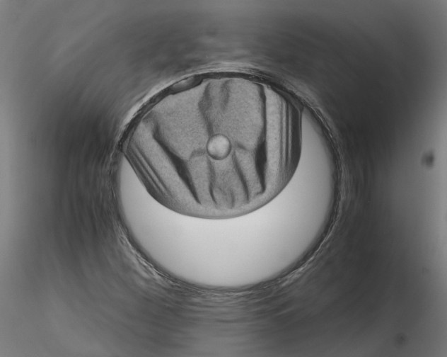 X0000116761260201001071148