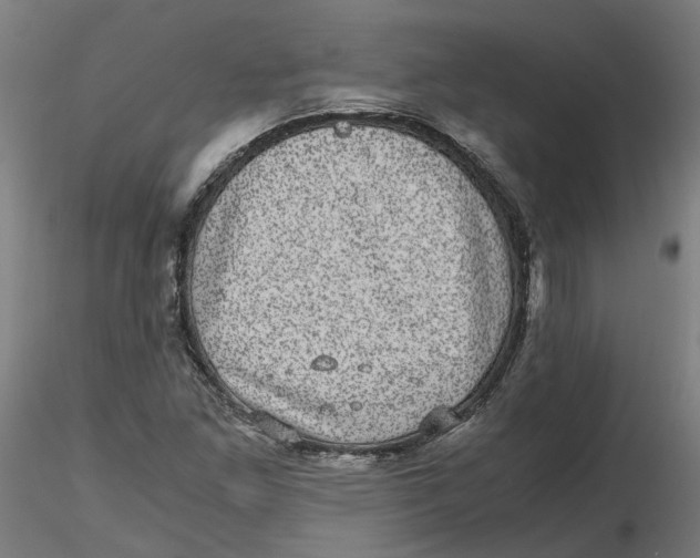 X0000116761261201001071148