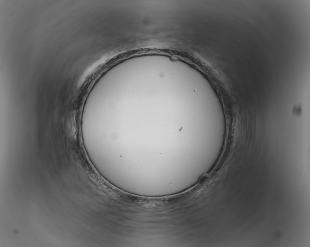 X0000116761262201001071148