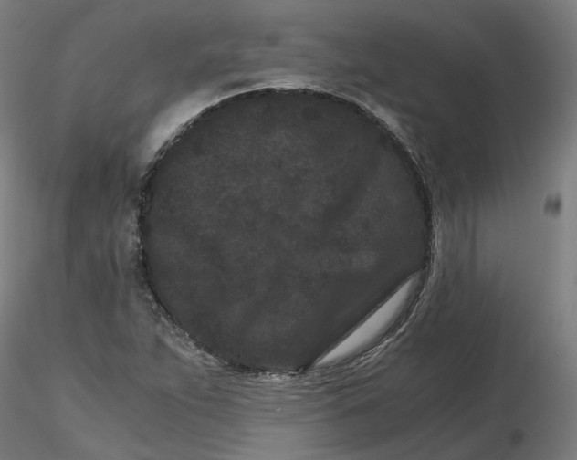 X0000116761263201001071148