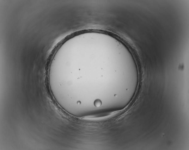 X0000116761264201001071148