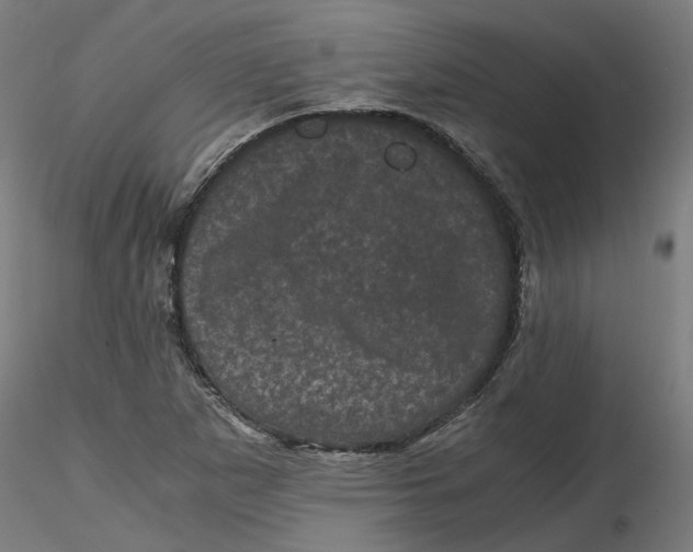 X0000116761265201001071148