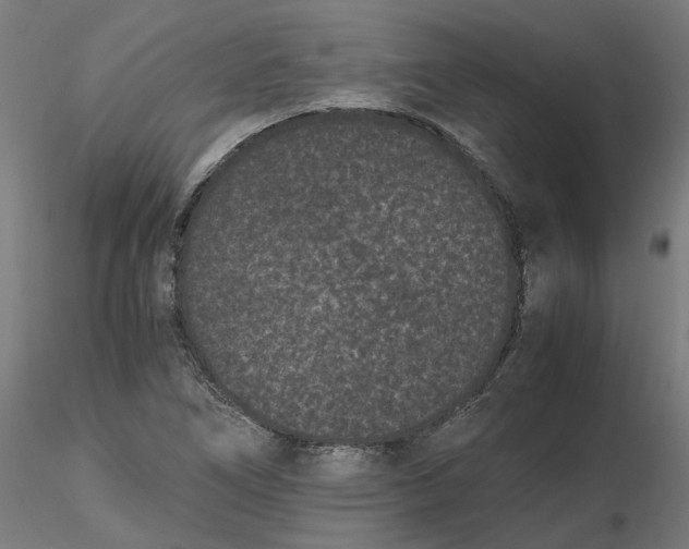 X0000116761266201001071148