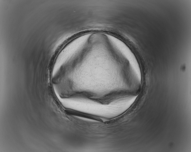 X0000116761267201001071148