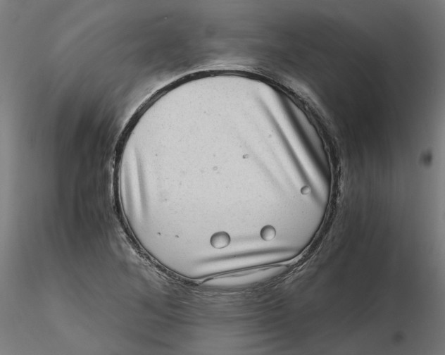 X0000116761268201001071148