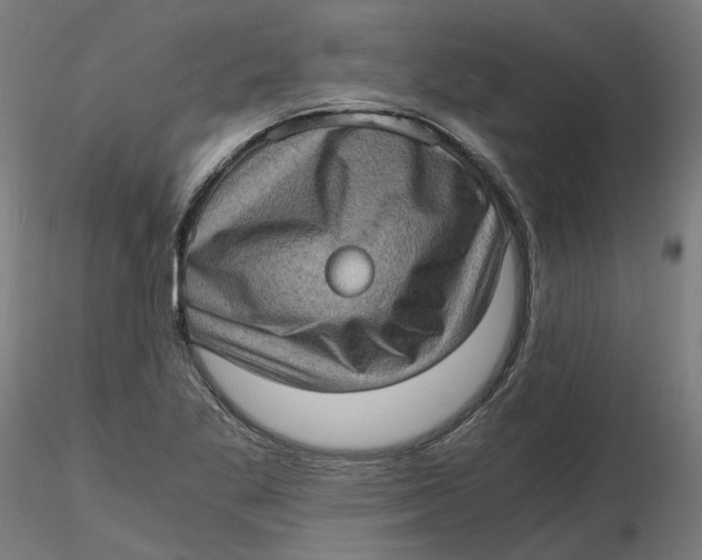 X0000116761269201001071148