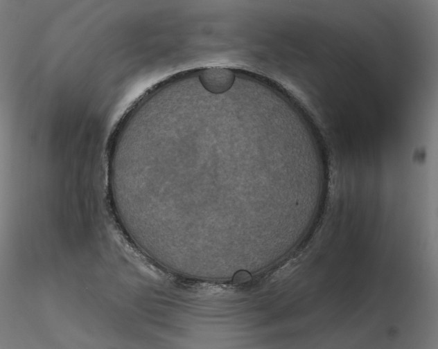 X0000116761270201001071148