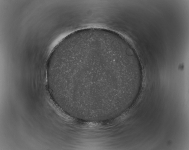 X0000116761271201001071148